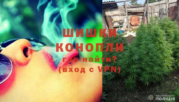 PSILOCYBIN Баксан