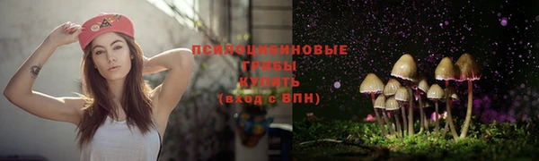 PSILOCYBIN Баксан