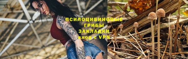PSILOCYBIN Баксан