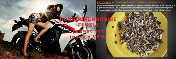 PSILOCYBIN Баксан