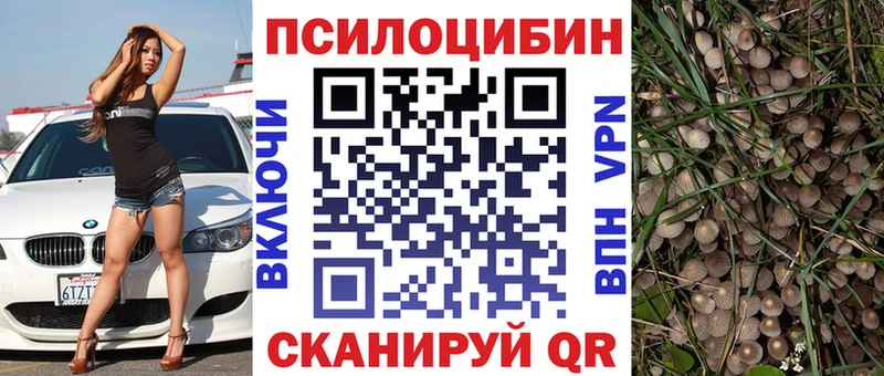 Псилоцибиновые грибы прущие грибы  маркетплейс телеграм  Темников 